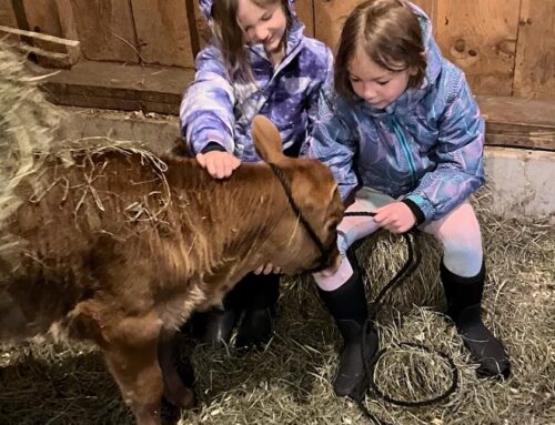 Sharing Our Love of Farming with the Girls